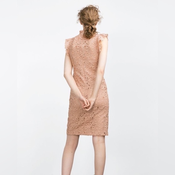 Zara Women’s Blush Pink Guipure Lace Knee Length Dress Size S - Picture 5 of 17